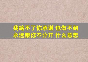 我给不了你承诺 也做不到永远跟你不分开 什么意思